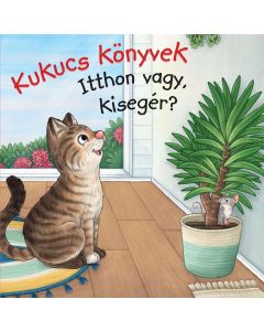 Kukucs Könyvek - Itthon vagy, kisegér?