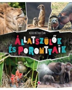 Állatszülők és porontyaik