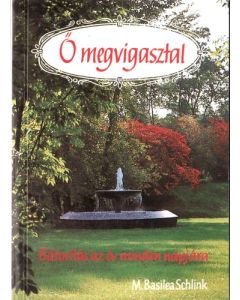 Ő megvigasztal