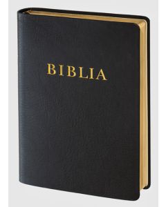 Biblia (RÚF 2014), nagy családi, bőrkötés, arany élmetszés