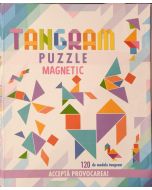 Tangram puzzle magnetic