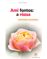 Ami fontos: a rózsa