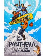 Panthera - A hógömb fogságában