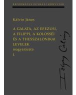 A Galata, az Efezusi, a Filippi, a Kolosséi és a Thesszalonikai levelek magyarázata I-II.