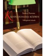 Kálvin olvasása közben