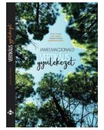 Vertikális gyülekezet